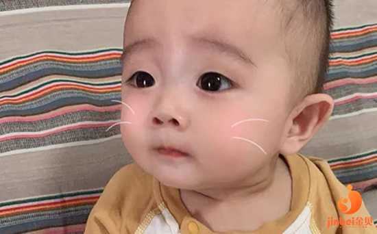 滨州50岁供卵三代试管成功率多少_做试管婴儿有年龄限制吗 北京哪家医院做试